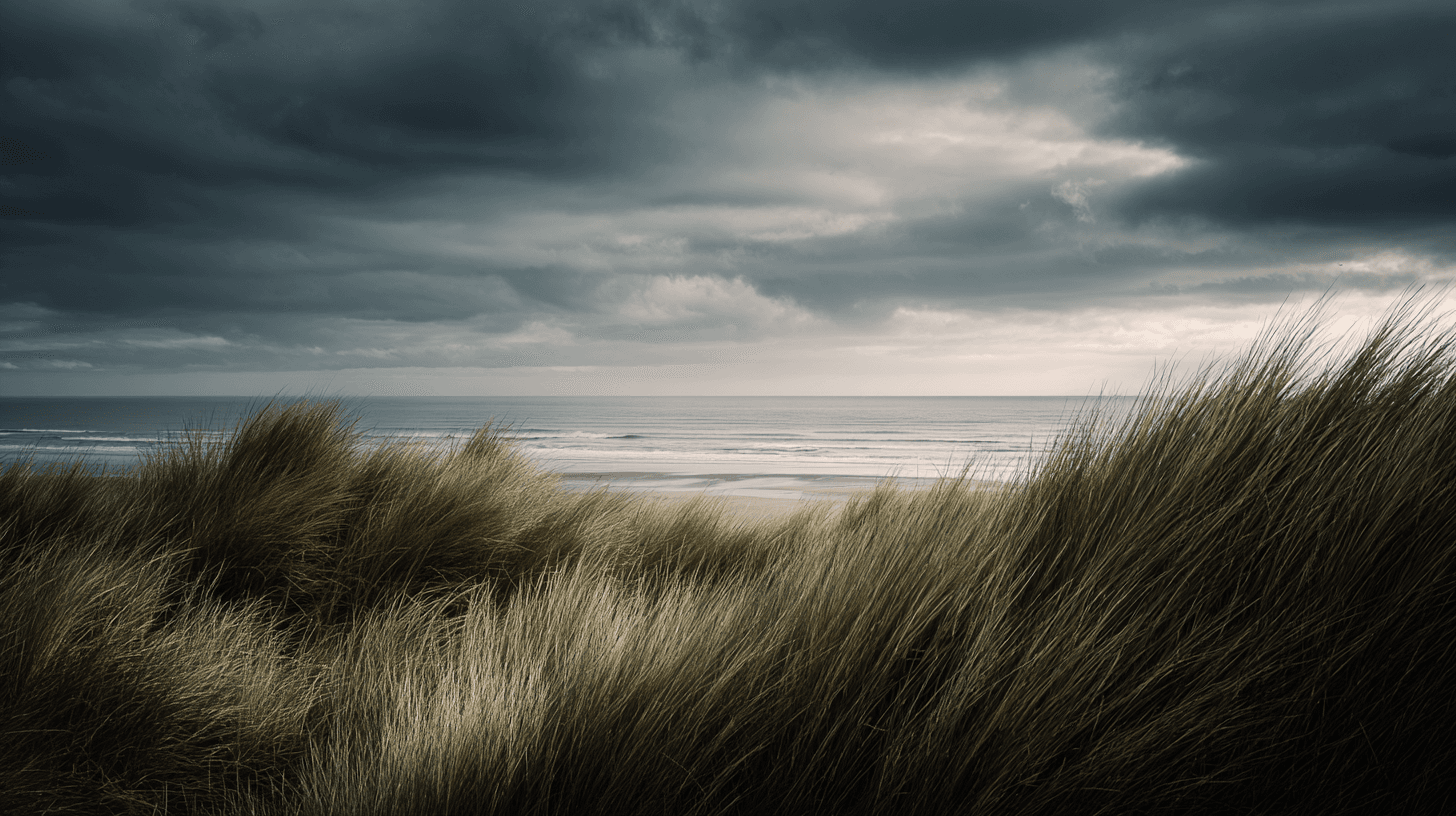 Littoral — cover